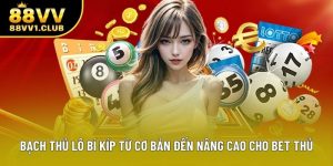 Bạch Thủ Lô Bí Kíp Từ Cơ Bản Đến Nâng Cao Cho Bet Thủ