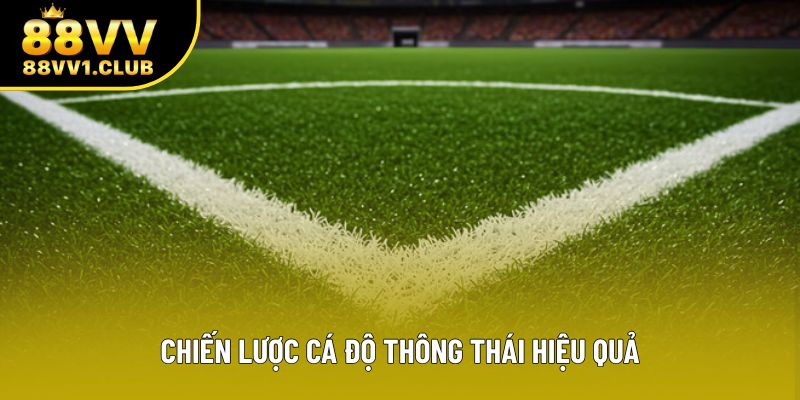 Chiến lược cá độ thông thái hiệu quả