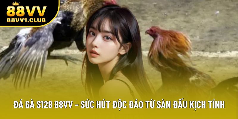 Đá Gà S128 88VV – Sức Hút Độc Đáo Từ Sàn Đấu Kịch Tính