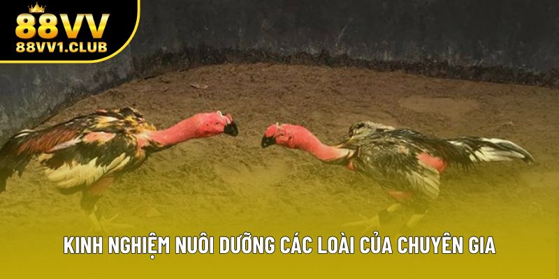 Kinh nghiệm nuôi dưỡng các loài của chuyên gia