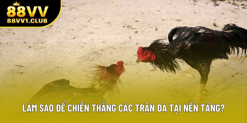 Làm sao để chiến thắng các trận đá tại nền tảng?