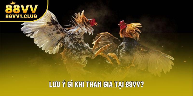 Lưu ý gì khi tham gia tại 88VV?